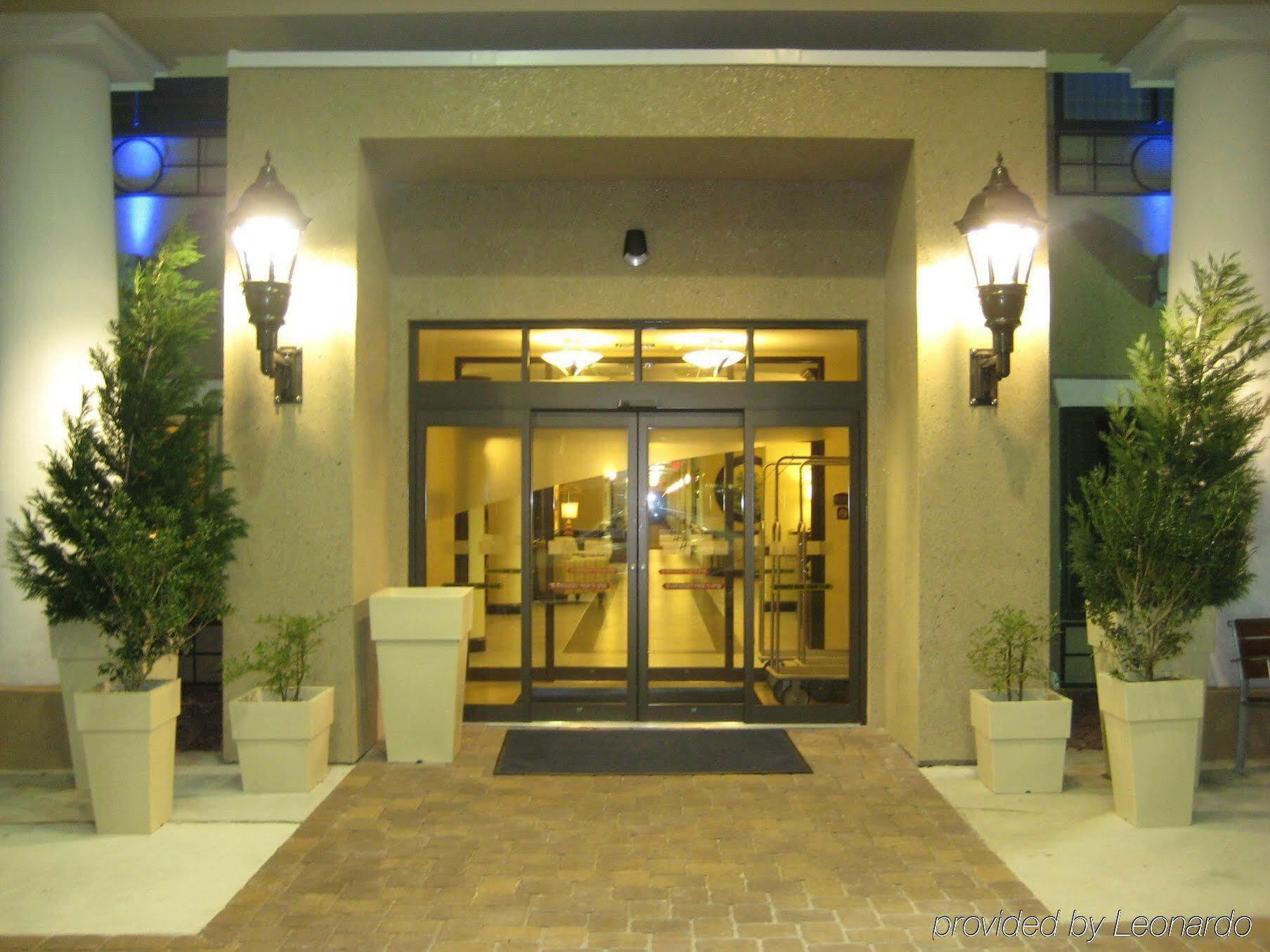 Holiday Inn Express Hotel & Suites Tampa-Usf-Busch Gardens, An Ihg Hotel Екстер'єр фото